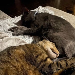 Meet your Posher, Lyza